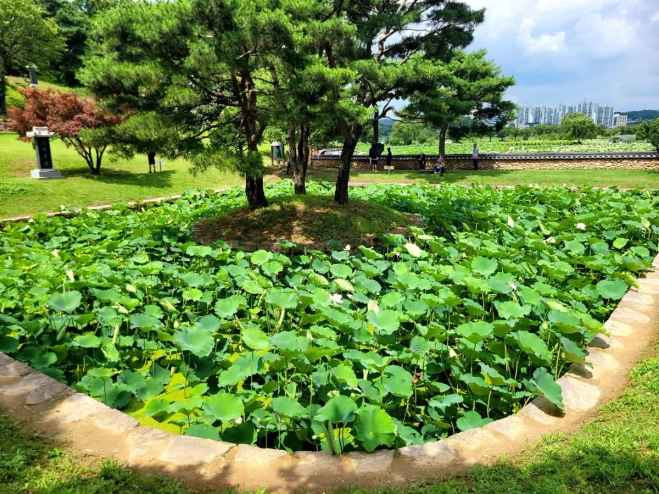 관곡지