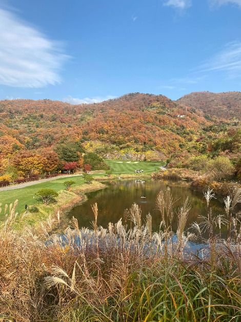 푸른솔 골프클럽 포천