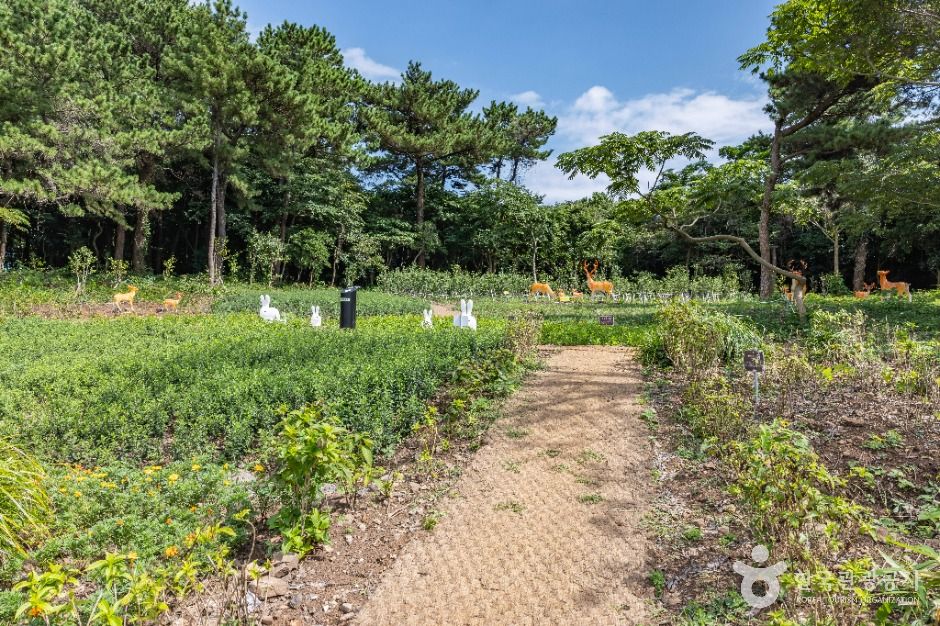 제주_새섬공원 (2)