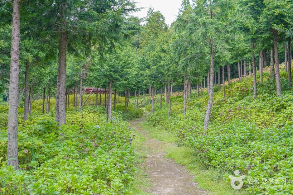 thumbnail-숲정원 윤제림-2