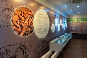 원주_조엄기념관 (4)