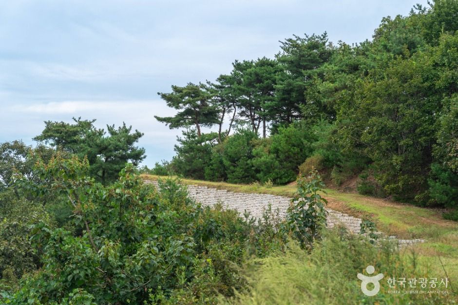 충주_충주 장미산성 (4)