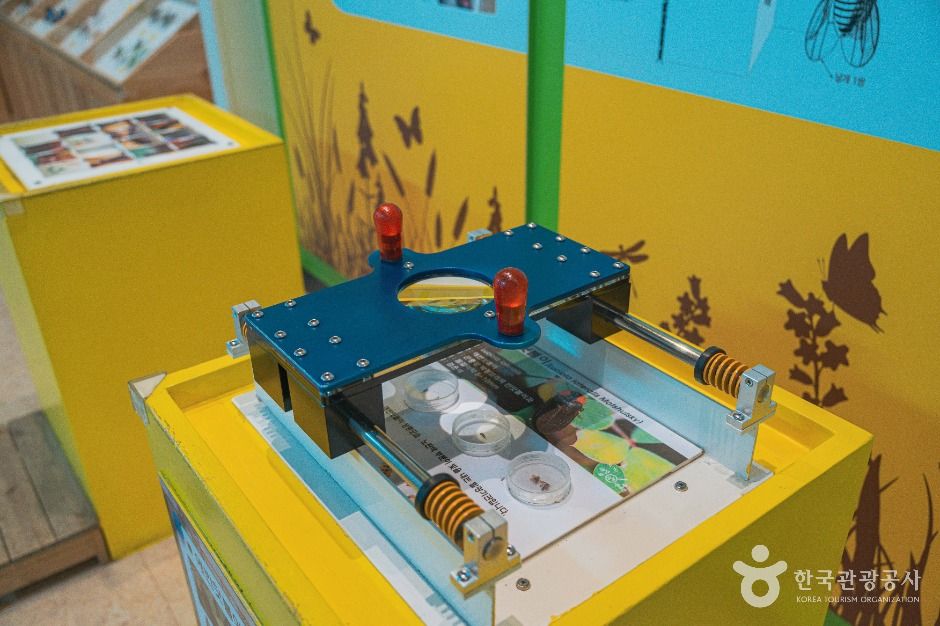 thumbnail-대전곤충생태관-5