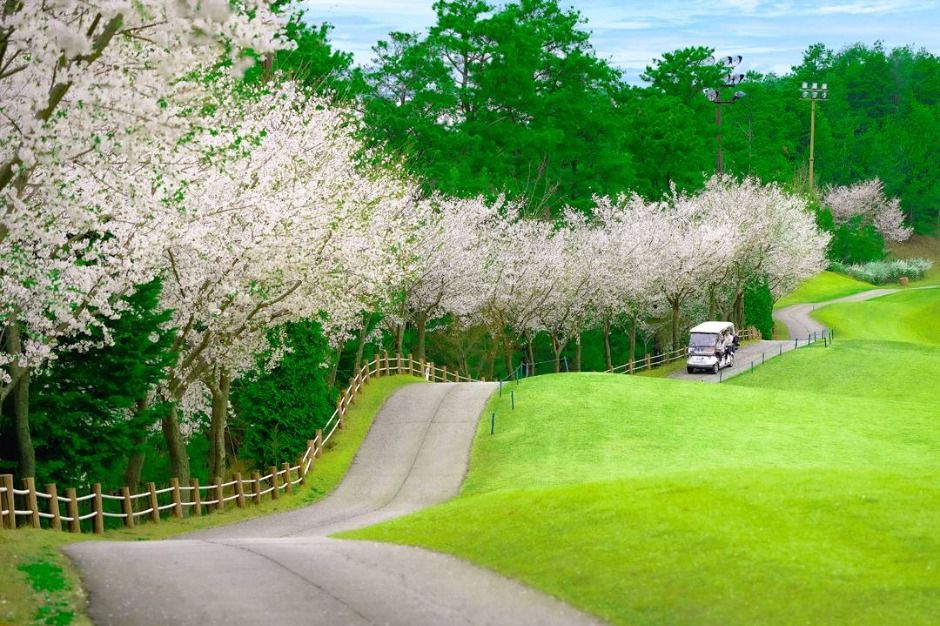 포천힐스컨트리클럽