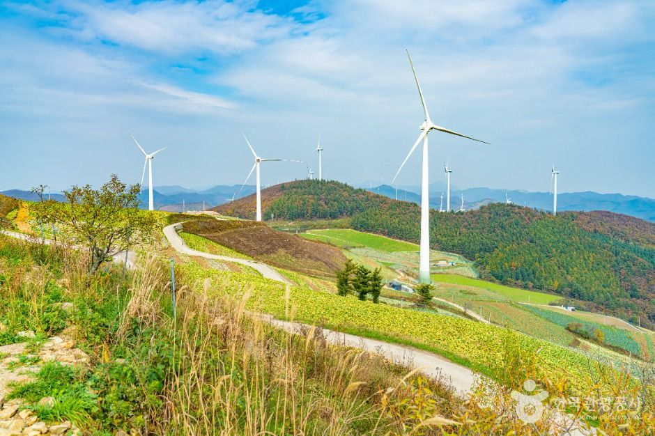 매봉산풍력발전단지(바람의 언덕)