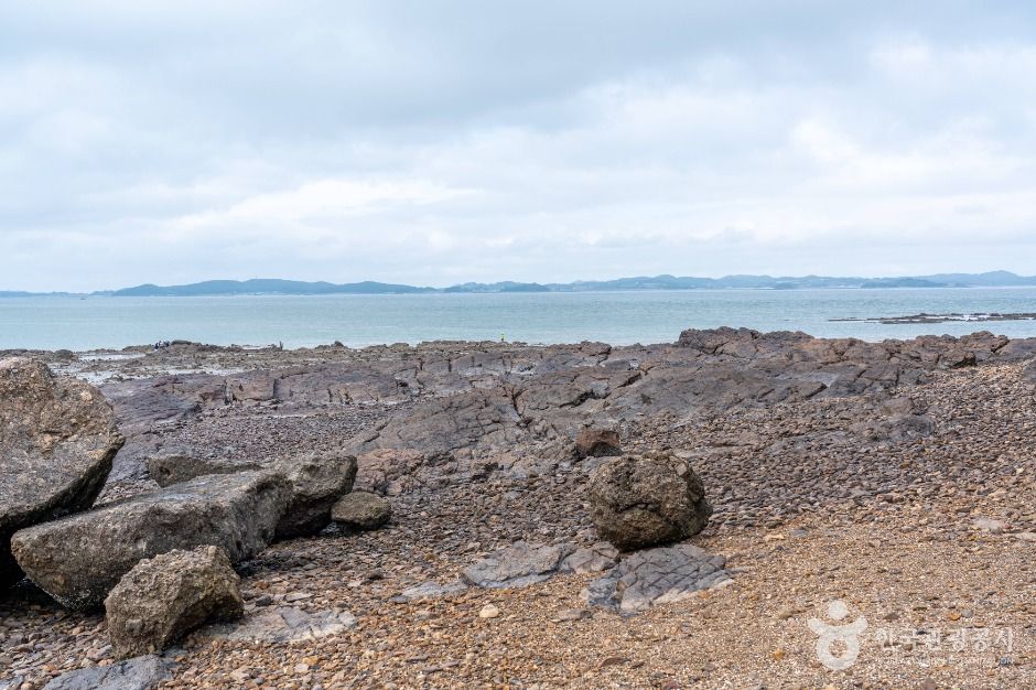 맨삽지(학성리 공룡발자국화석)