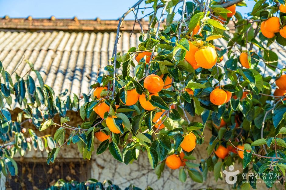 지리산 황전마을