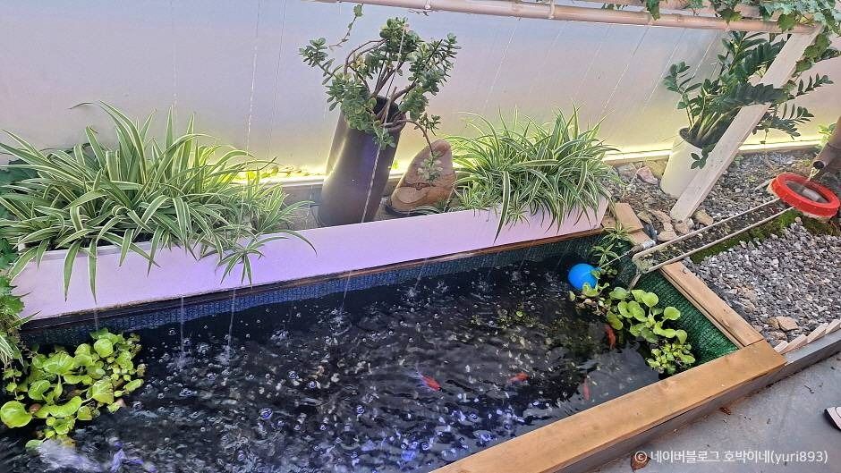 thumbnail-[백년가게] 장군숯불족발-3