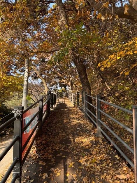 원주_[치악산 둘레길 1코스] 꽃밭머리길_ⓒ 사진제보 댄킴 (2)