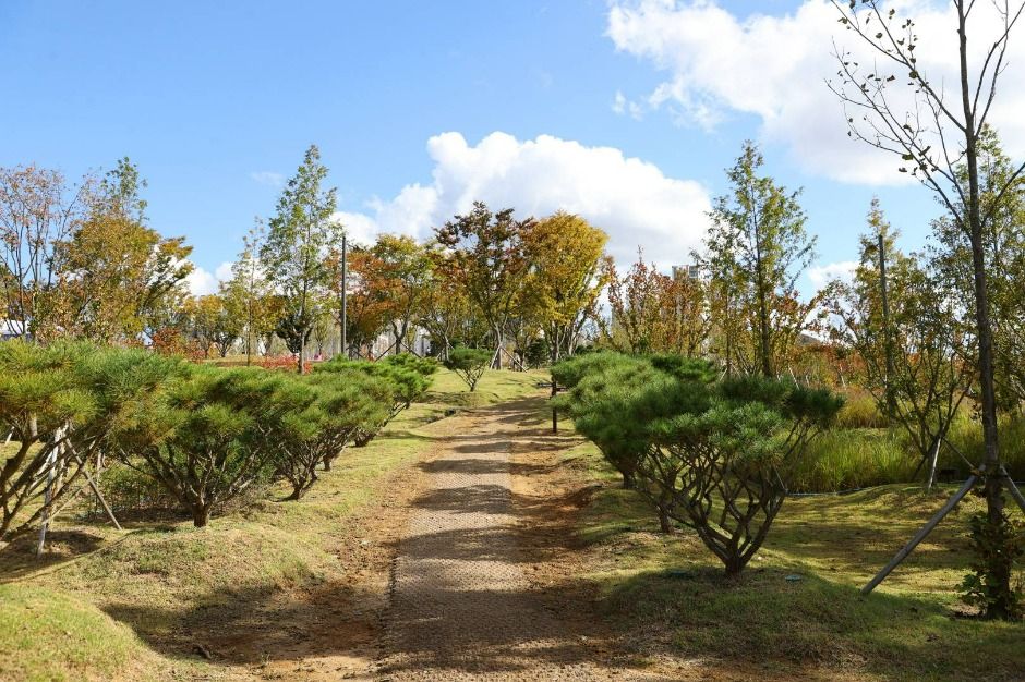충주 시민의 숲