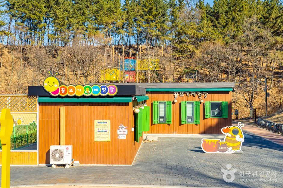 칠곡_꿀벌나라테마공원 (9)