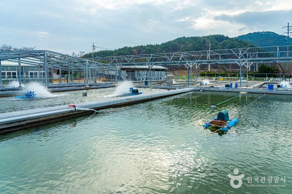 울진_민물고기생태체험관 (9)