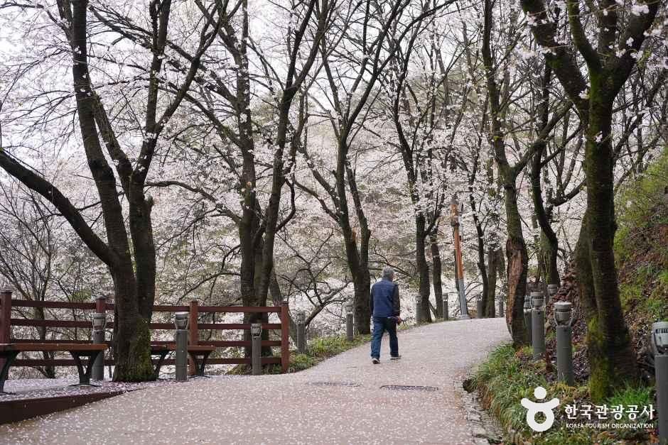 thumbnail-진천 농다리-11