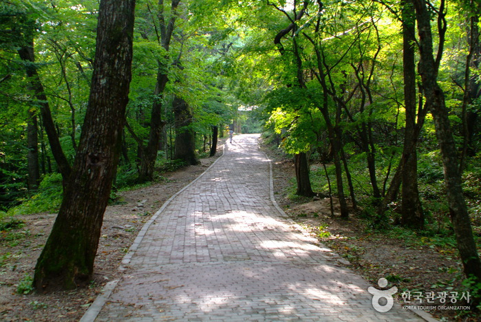 Odaesan National Park (오대산국립공원)