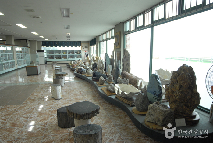 京辅化石博物馆(경보화석박물관)