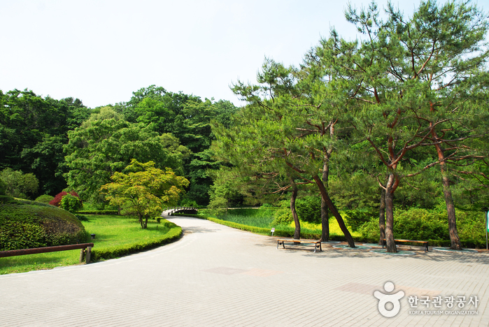 Korea National Arboretum and Forest Museum (국립수목원-구, 광릉수목원)