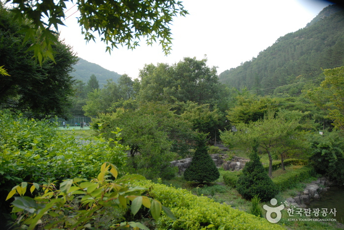 Forêt récréative de Gosan (고산자연휴양림)