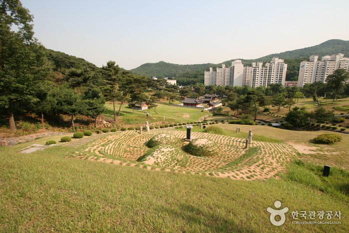 서울시 강남구 광평대군묘역12