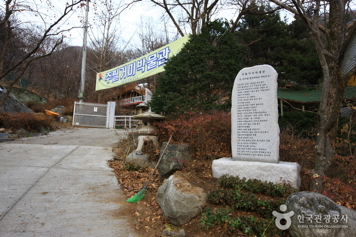 Arachnopia (JooPil Spider Museum), (아라크노피아 생태수목원·주필거미박물관)