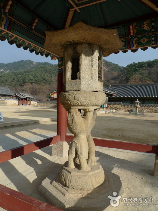 보은 법주사 사진20
