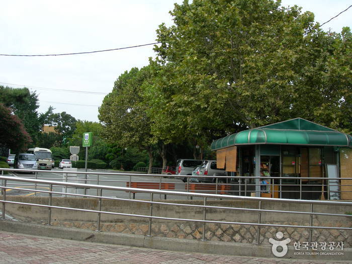 Yongdusan Park (용두산 공원)