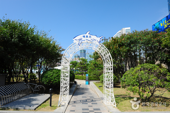 Busan Aquarium (부산아쿠아리움)