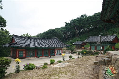 청원 이미지