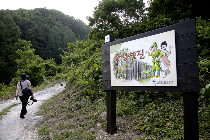 죽령 이미지