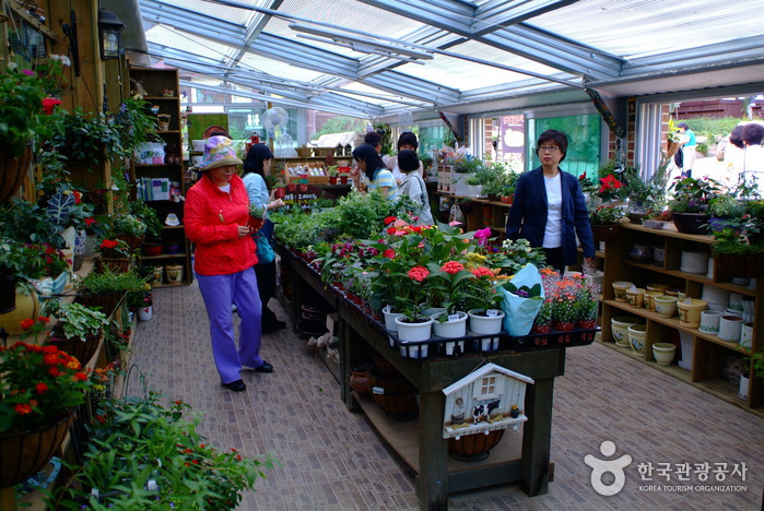 Herbnara Farm (허브나라농원)