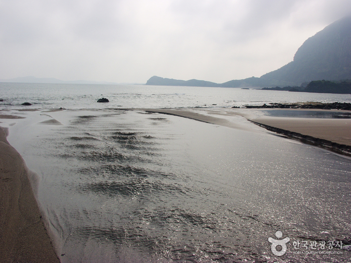 [제주올레 9코스] 대평-화순 올레1