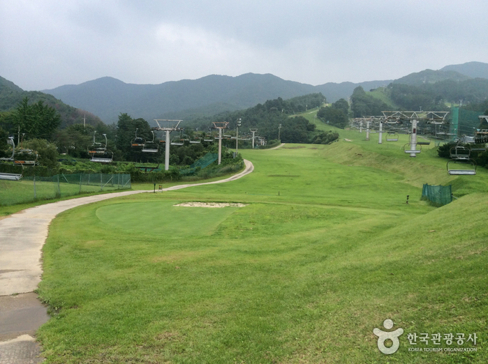 베어스타운리조트 골프장4