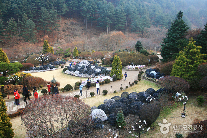 하경정원 전망대에서 본 낮 풍경