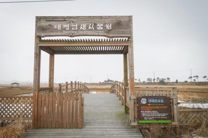 소금박물관 사진19