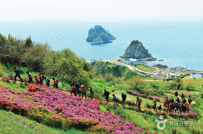 五六岛（釜山国家地质公园）（오륙도 (부산 국가지질공원)）