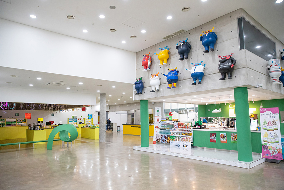 제주라프짚라인0