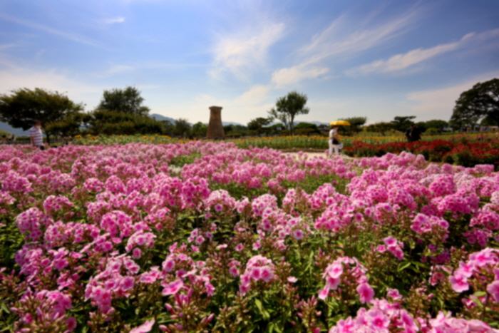 Beautiful flower garden near Cheomseongdae Observatory