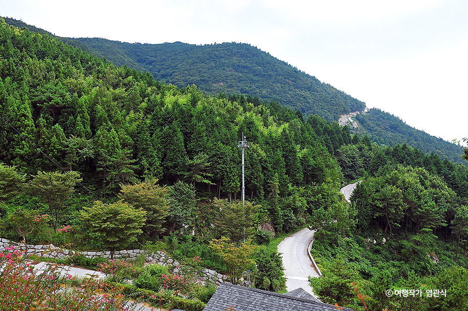 봉황산자연휴양림(여수봉황산자연휴양림)