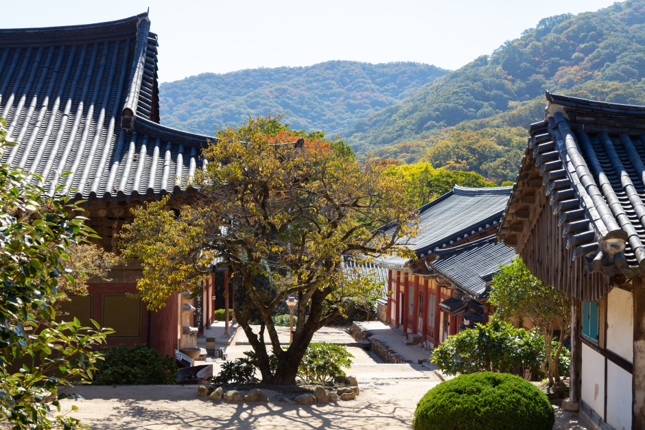 Seonamsa Temple UNESCO World Heritage 선암사 유네스코 세계문화유산 VISITKOREA