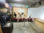 파주공룡박물관 (9)