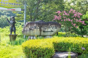 경북_김천_수도산자연휴양림 (7)