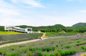 허브원 (13)