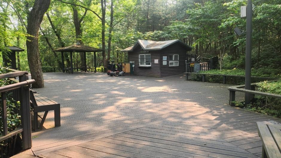 관악산 무장애숲길