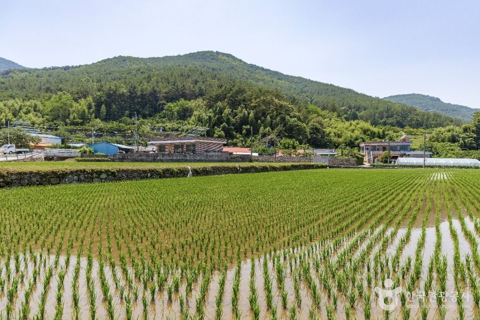 사천 바리안마을