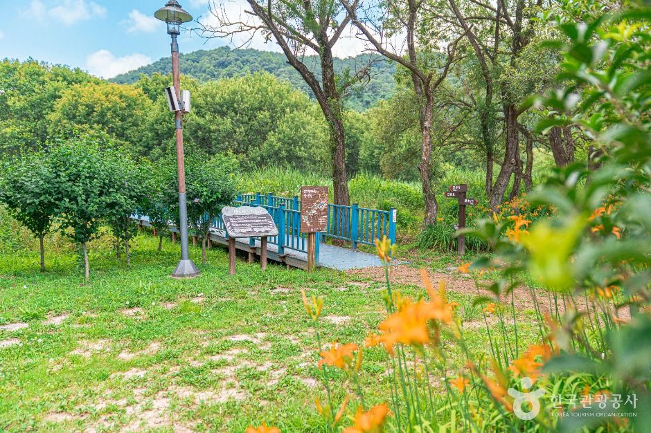 Gwangjuho Lake Eco Park (광주호 호수생태원)