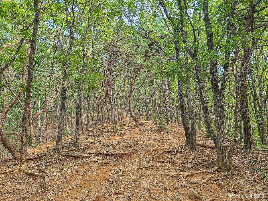 고성산