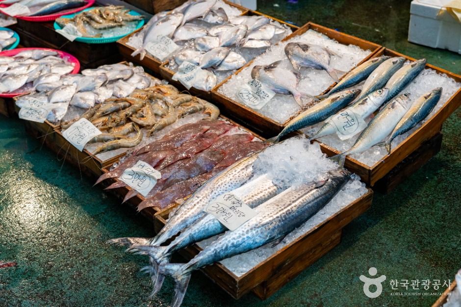여수_여수중앙선어시장 (2)