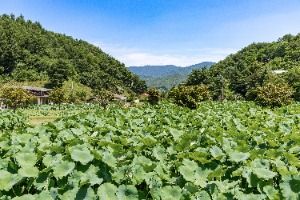 봉화_봉화산사 (5)