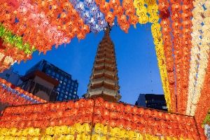 서울_조계사(서울) (8)