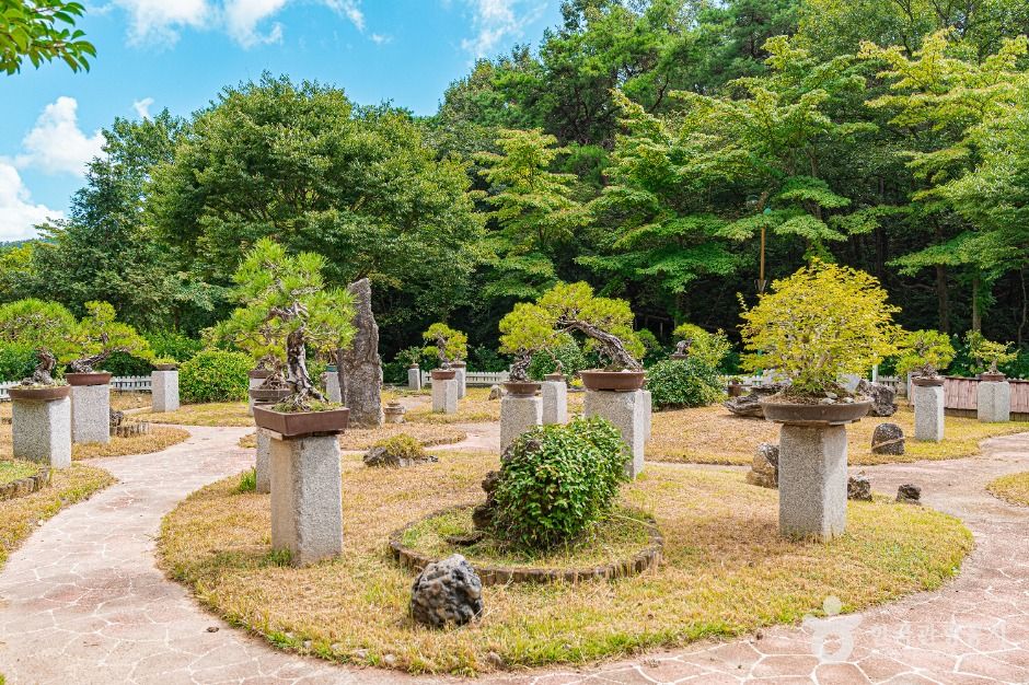 함평자연생태공원