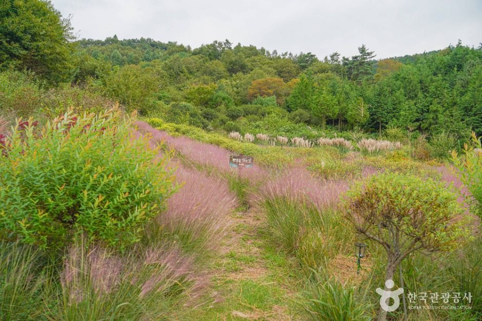 thumbnail-숲정원 윤제림-3